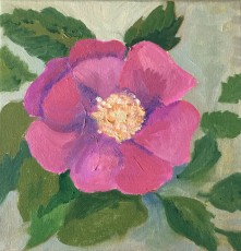 Japanese Rose, 2018, 20 x 20 cms, Oil on canvas