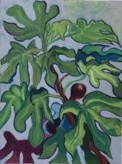 I don’t give a fig 3, 2019, 61 x 45.5 cms, oil on canvas