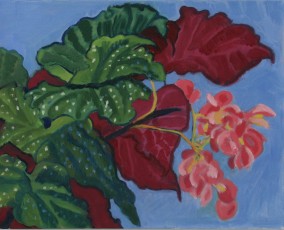 Angel Wings 2, 2019, 40.5 x 51 cms, oil on canvas