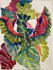 Angel Wings no. 1, 2024, 39 x 30 cms, watercolour