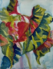 Angel Wings no. 2, 2024, 39 x 30 cms, watercolour
