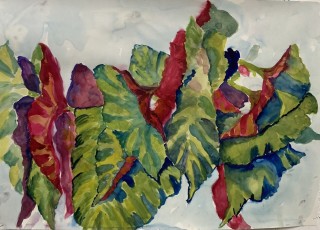 Angel Wings no. 3, 2924, 42 x 59 cms, watercolour