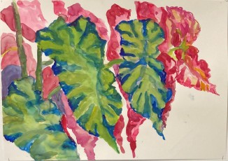 Angel Wings no. 6, 2024, 77 x 56 cms, watercolour