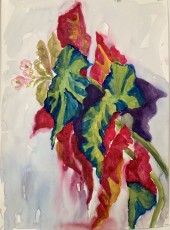 Angel Wings no. 7, 2024, 59 x 42 cms, watercolour