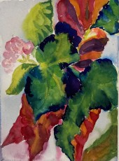 Angel Wings no. 11, 2924, 29 x 21 cms, watercolour
