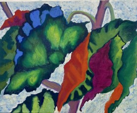Angel Wings no. 6, 2024, 41 x 51 cms, oil on canvas