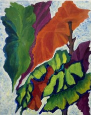 Angel Wings no. 7, 2024, 51 xx 41cms, oil on canvas