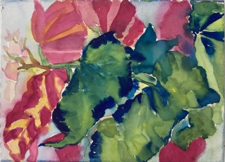 Angel Wings no. 13, 2024, 21 x 29 cms, watercolour