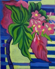 Angel Wings no. 19, 2006. 51 x 41 cms, oil on canvas