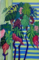 Angel Wings no. 23, 2026, 91.5 x 121.5 cms, oil on canvas
